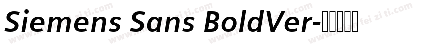 Siemens Sans BoldVer字体转换